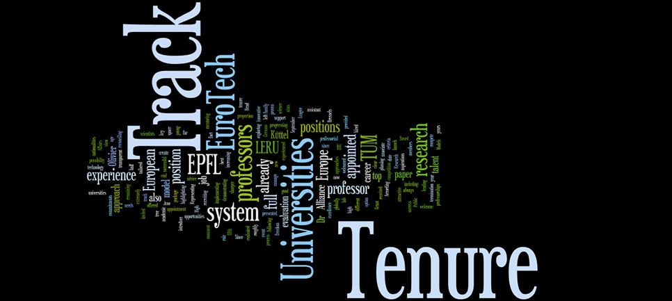 Tenure track word cloud
