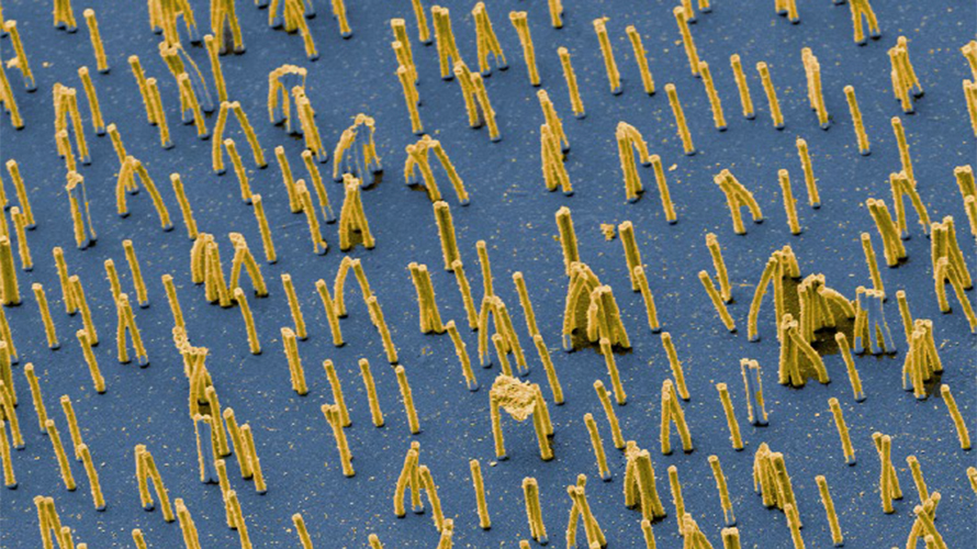 Highly motile magnetic artificial nano-cilia