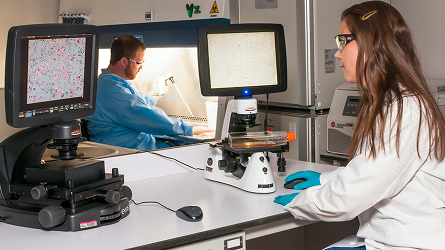 Mutual Learning Workshop for Gender Equality Plans in the R&I sector