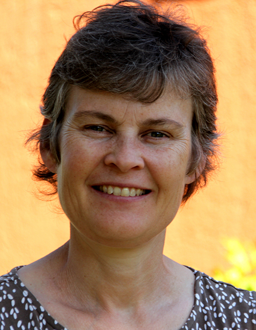 Anne S. Meyer, DTU