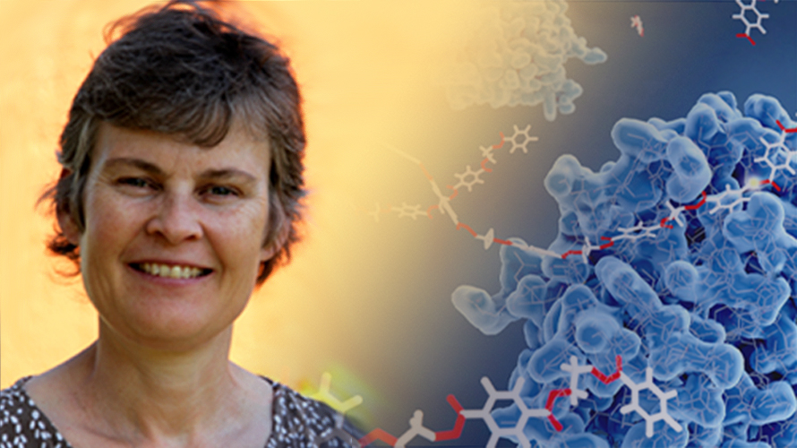 Anne S. Meyer, DTU