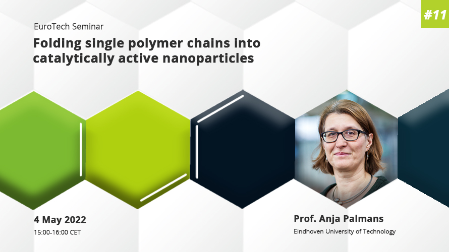 Anja Palmans, Eindhoven University of Technology